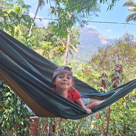 Pepper County Farm Stay Munnar Exterior photo