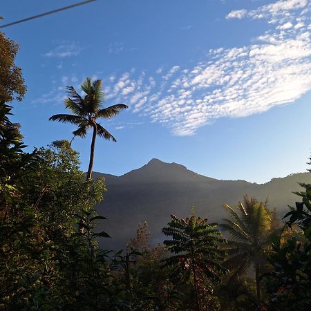 Pepper County Farm Stay Munnar Exterior photo