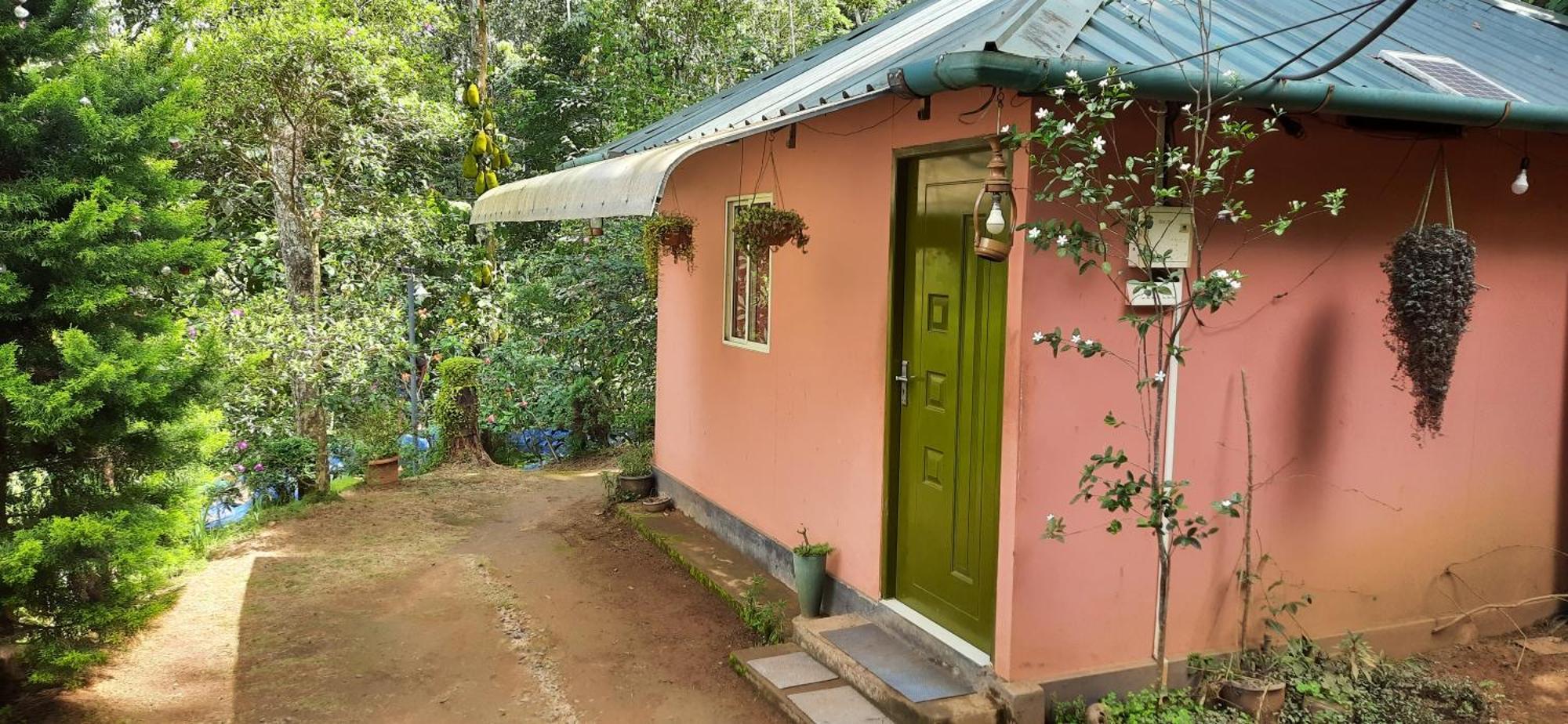 Pepper County Farm Stay Munnar Room photo