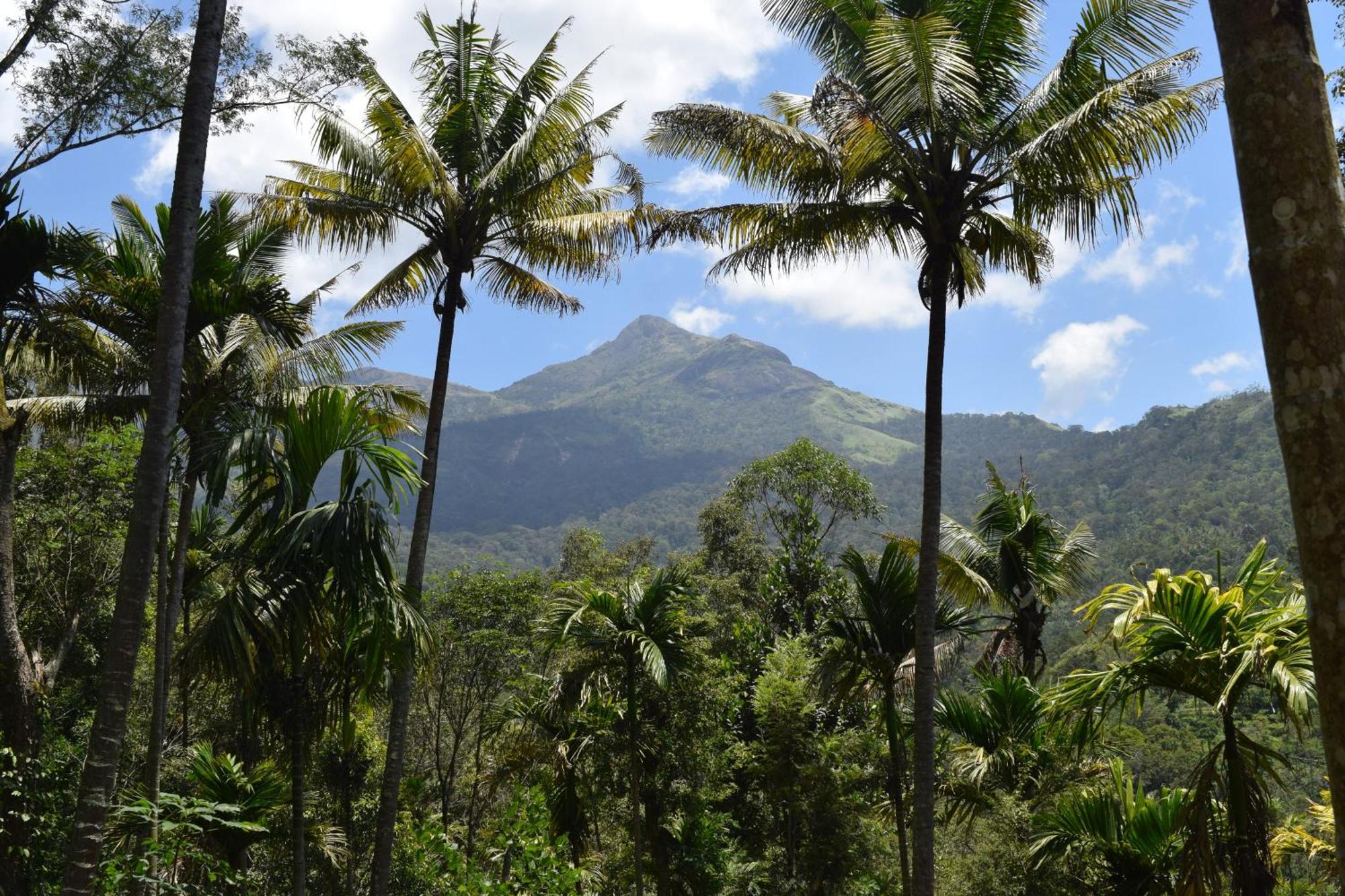 Pepper County Farm Stay Munnar Exterior photo