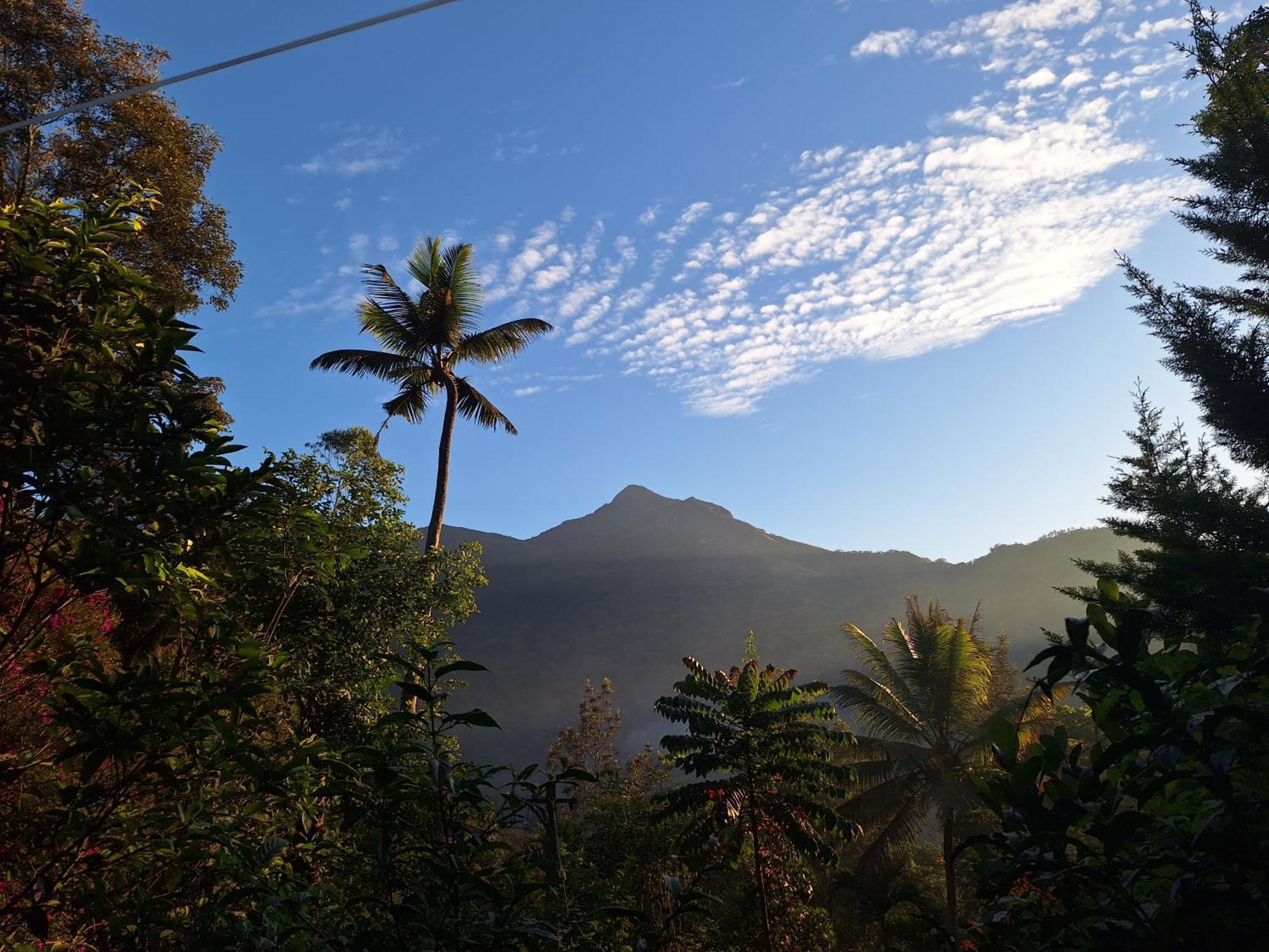 Pepper County Farm Stay Munnar Exterior photo