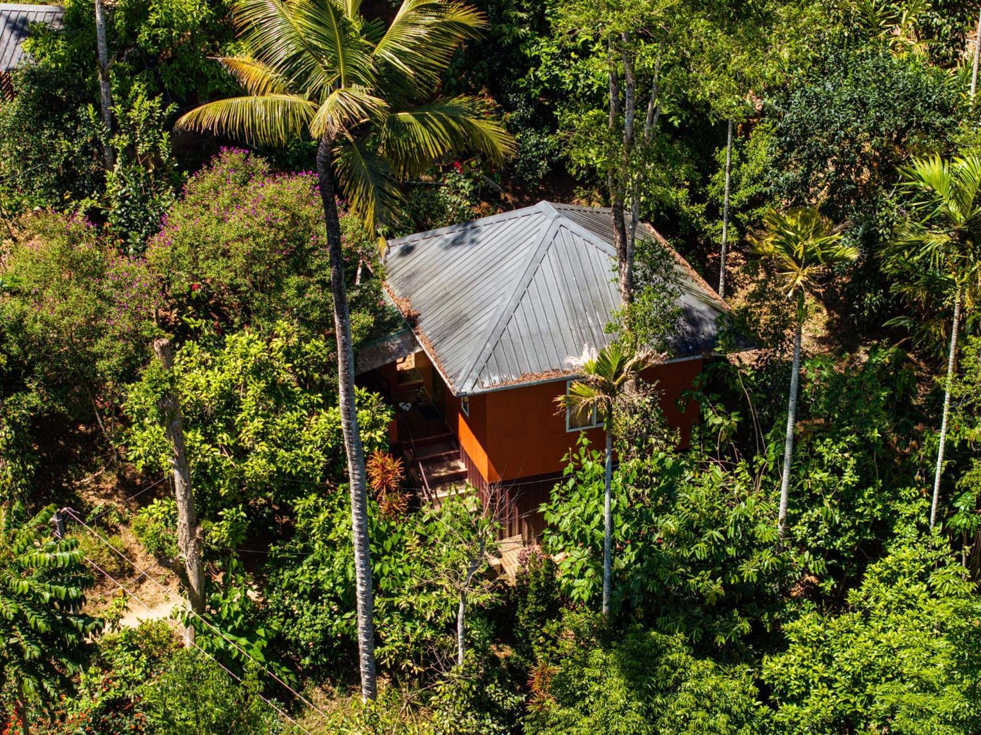 Pepper County Farm Stay Munnar Exterior photo