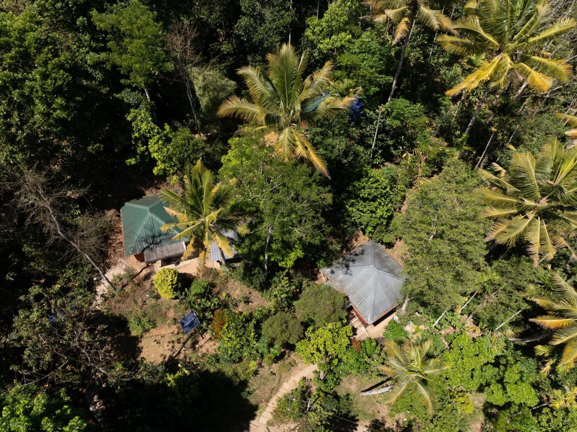 Pepper County Farm Stay Munnar Exterior photo