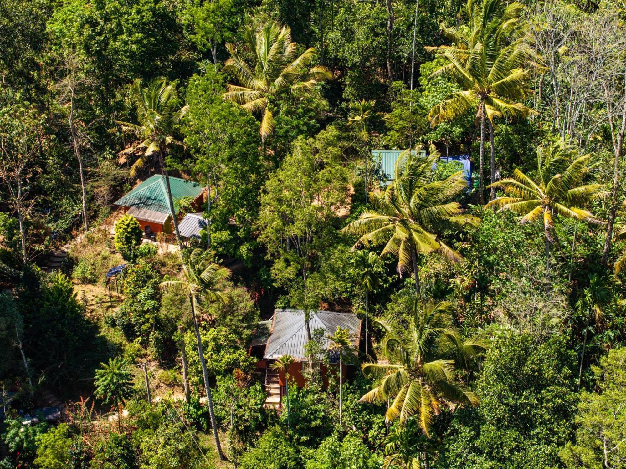 Pepper County Farm Stay Munnar Exterior photo