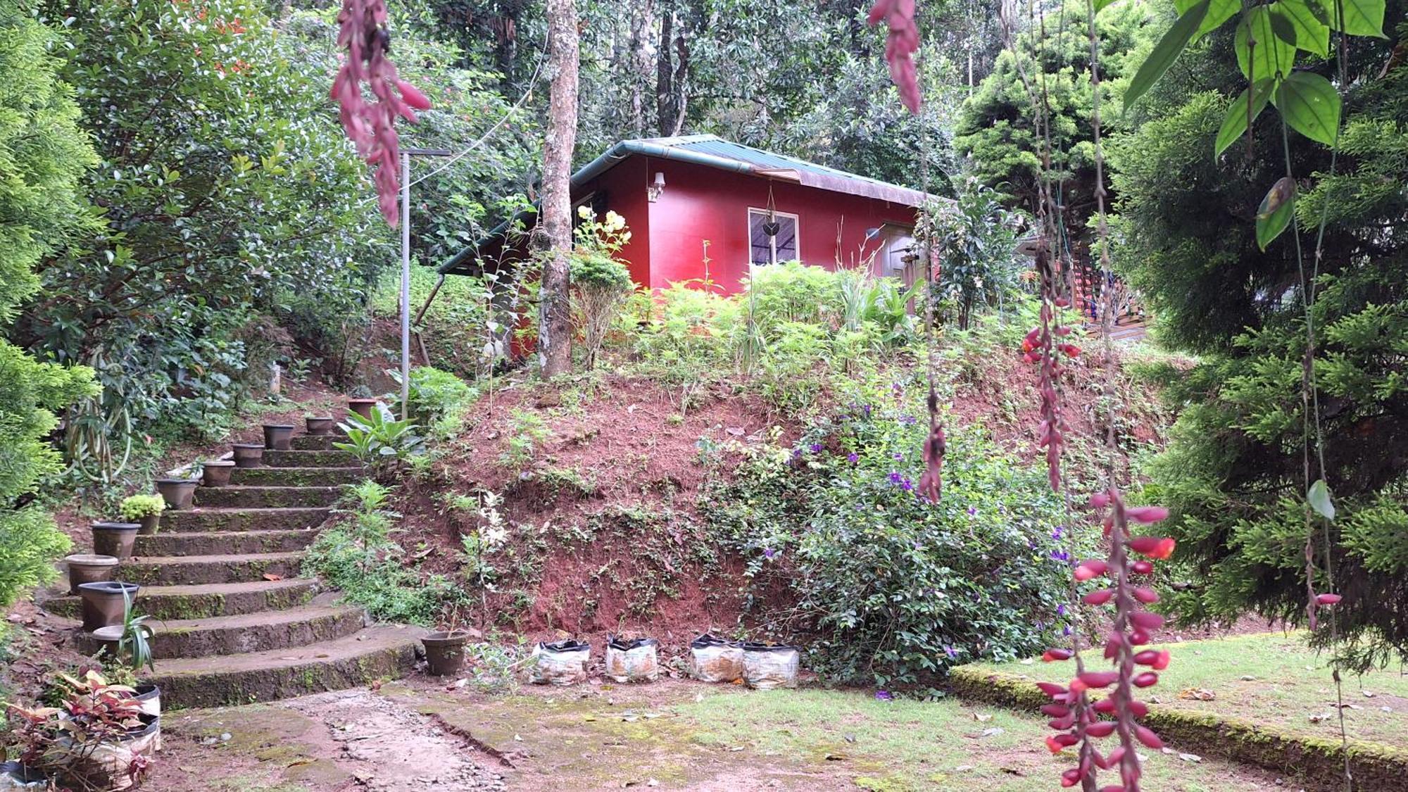 Pepper County Farm Stay Munnar Exterior photo