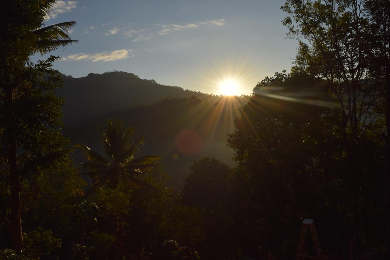 Pepper County Farm Stay Munnar Exterior photo