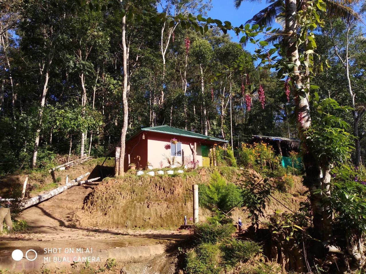 Pepper County Farm Stay Munnar Exterior photo