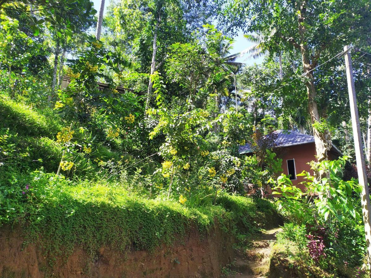 Pepper County Farm Stay Munnar Exterior photo